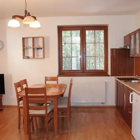 Apartment Olympia Zelezna Ruda