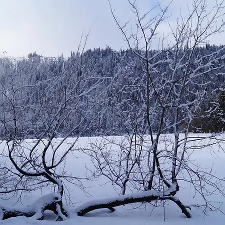 Olympia Apartmán Železná Ruda