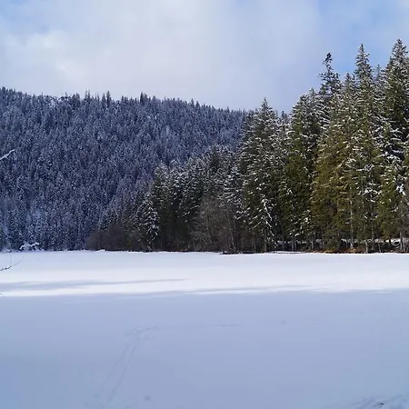 Olympia Διαμέρισμα