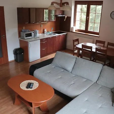 Apartment Olympia Zelezna Ruda