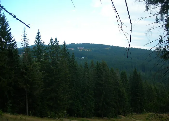 Olympia